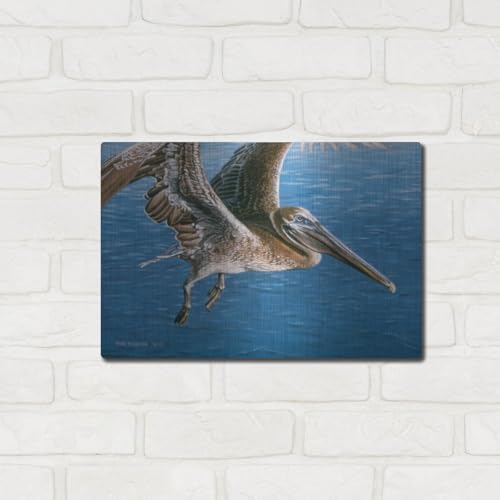 Flying Pelican Metal Wall Art by Ron Parker 16x12