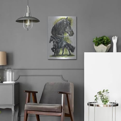 Fresian by Barbara Keith 16x24 Metal Wall Art