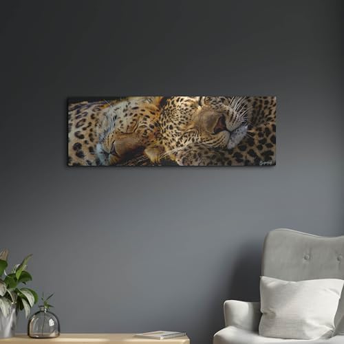 Two Sleepers Cheetahs Metal Wall Art by Murray Henderson