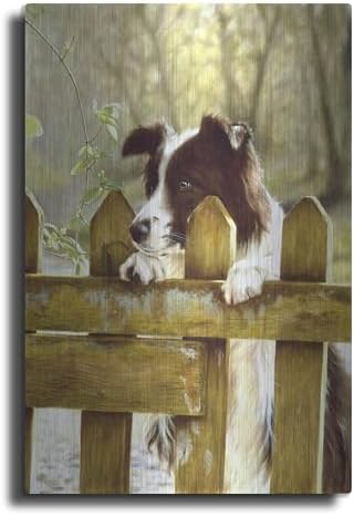 Border Collie Watching Cows Wall Art by John Silver