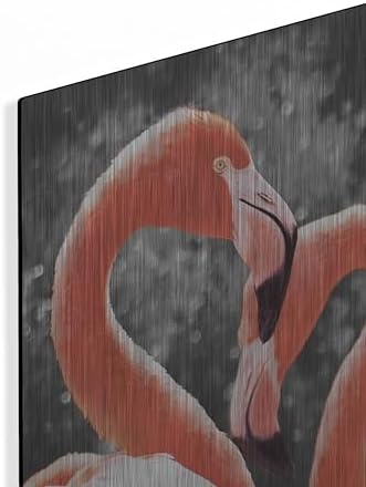 Flamingo II on BW Metal Wall Art by Debra Van Swearingen