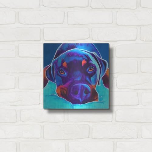 Rottie - Dexter 2 Metal Wall Art 12x12