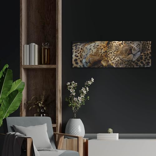 Two Sleepers Cheetahs Metal Wall Art by Murray Henderson
