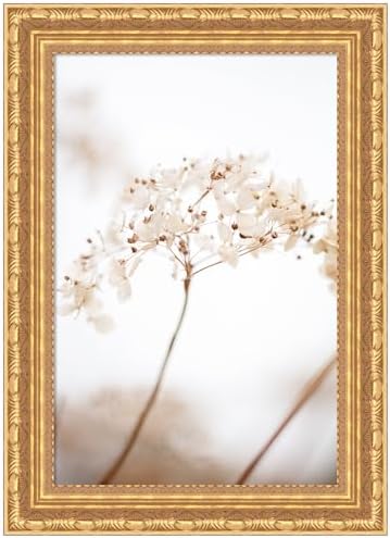 Amanti Art Framed Wall Print 24x17 Soft Dried Flower Brown