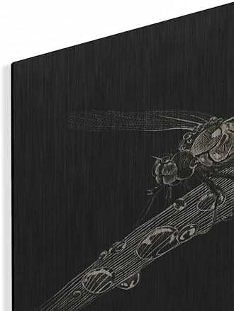 Dragonfly Metal Wall Art by Avery Multer 24x16