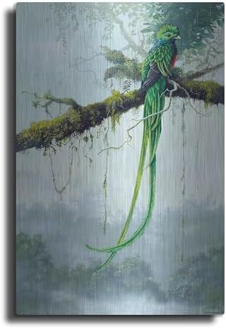 Resplendent Quetzal Metal Wall Art 12x16