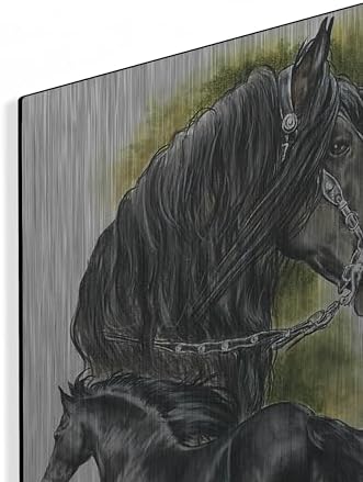 Fresian by Barbara Keith 16x24 Metal Wall Art