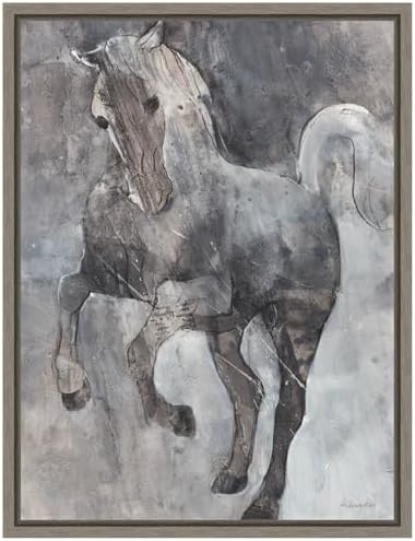 Amanti Art Framed Canvas Wall Art Wind Dancer 24x18