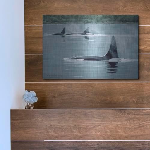 Orcas Metal Wall Art by Ron Parker 16x12