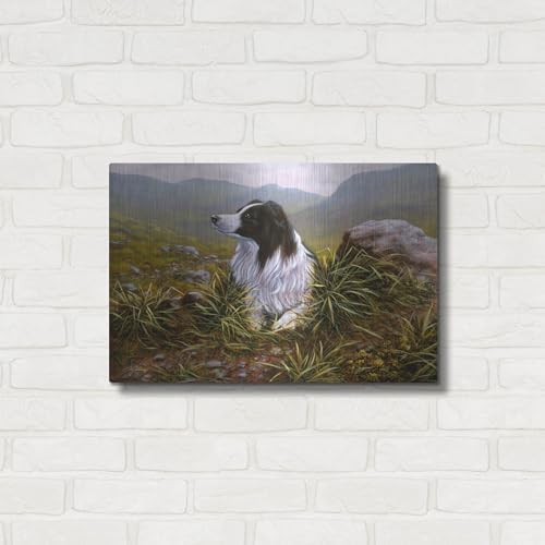 Thoughtful Border Collie Metal Wall Art 24x16