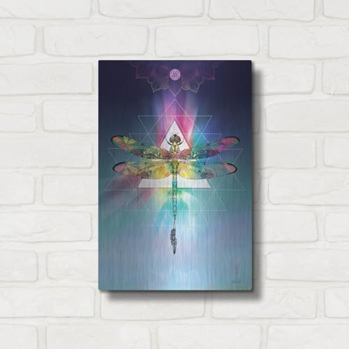 Cosmic Dragonfly Metal Wall Art 12x16