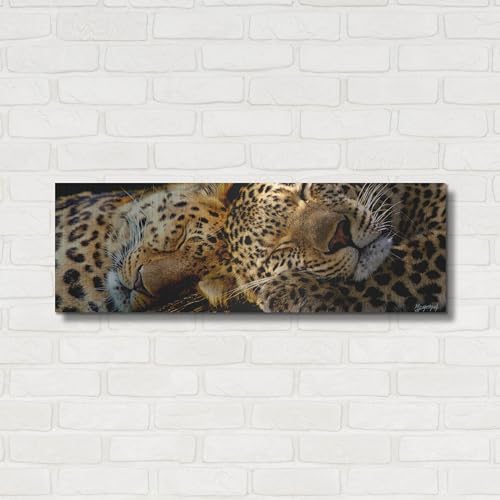 Two Sleepers Cheetahs Metal Wall Art by Murray Henderson
