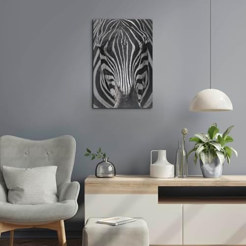 Zebra Stare Metal Wall Art 16x24