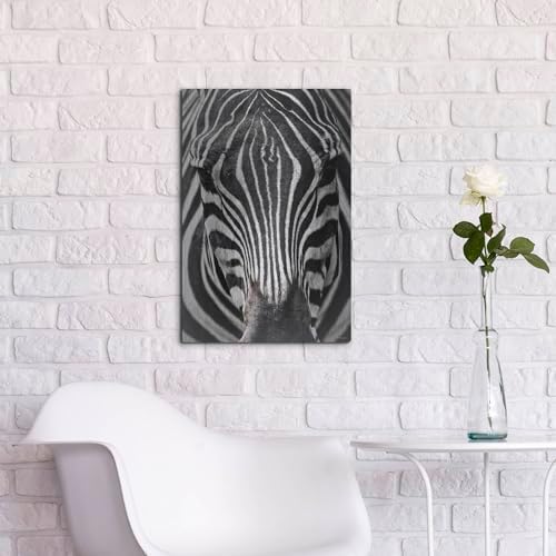 Zebra Stare Metal Wall Art 16x24