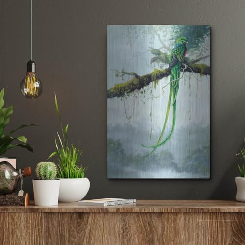 Resplendent Quetzal Metal Wall Art 12x16
