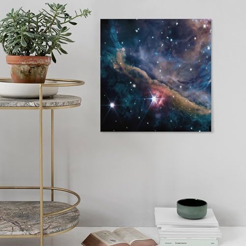 James Webb Space Telescope Canvas Poster 20x20inch Wall Art 1