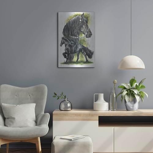 Fresian by Barbara Keith 16x24 Metal Wall Art