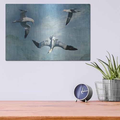 Gannets Trio Metal Wall Art by Carlos Casamayor