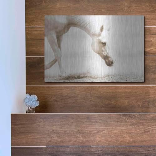 Trail Horse Sepia Metal Wall Art 16x12