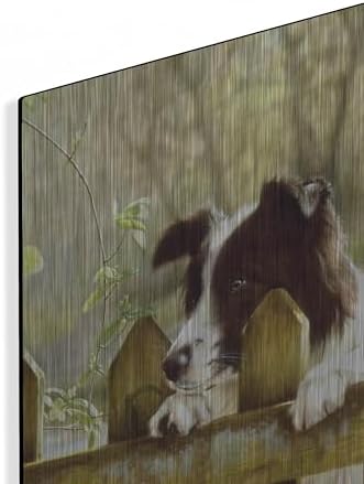 Border Collie Watching Cows Wall Art by John Silver