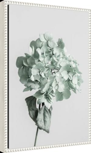 Amanti Art Framed Canvas Print 23x16 Green Dried Flower