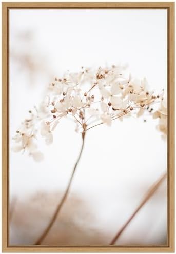 Amanti Art Framed Canvas 23x16 Soft Dried Flower Brown
