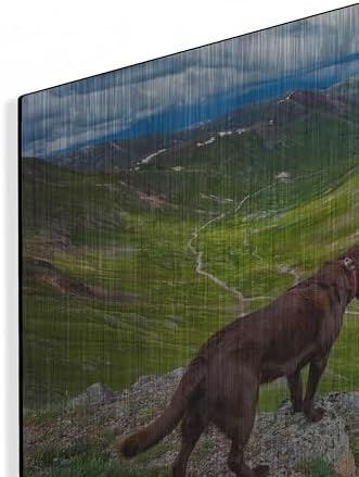 A Dog On An Adventure Metal Wall Art 24x16