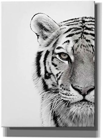 White Tiger Giclee Canvas Wall Art by Design Fabrikken