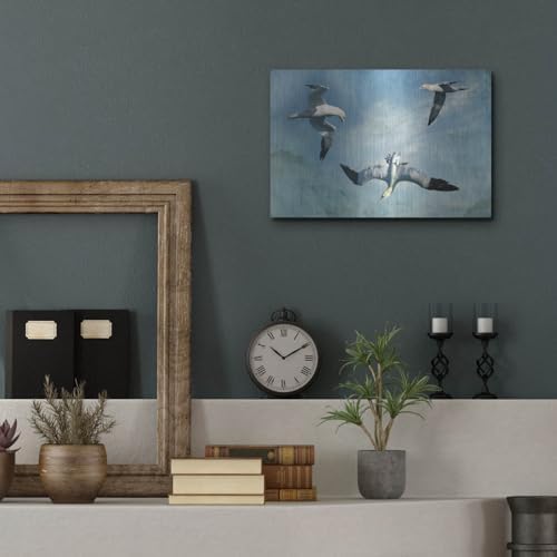 Gannets Trio Metal Wall Art by Carlos Casamayor