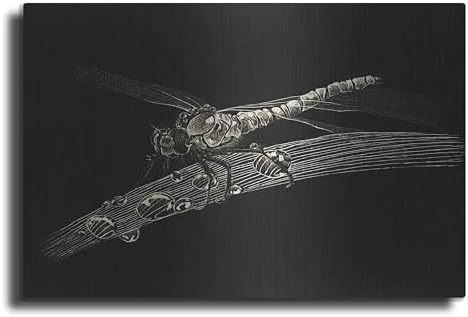 Dragonfly Metal Wall Art by Avery Multer 24x16