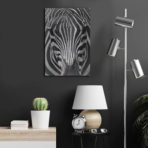 Zebra Stare Metal Wall Art 16x24