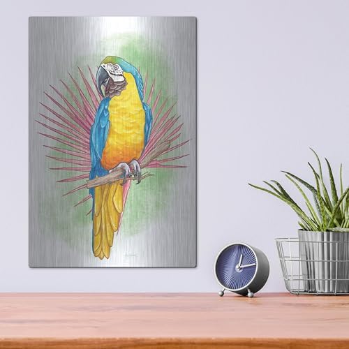 Tropical Flair 1 Metal Wall Art by Mary Urban