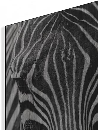 Zebra Stare Metal Wall Art 16x24