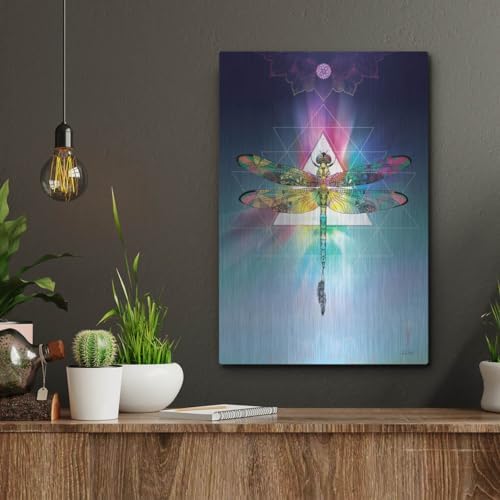 Cosmic Dragonfly Metal Wall Art 12x16