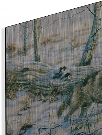 Snow Wolf Metal Wall Art by Bill Makinson 16x12