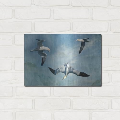 Gannets Trio Metal Wall Art by Carlos Casamayor