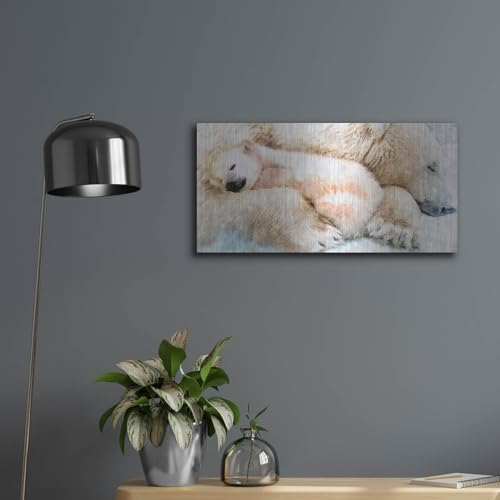 Sleepy Polar Metal Wall Art 24x12