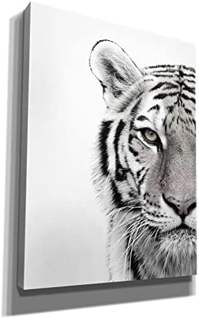 White Tiger Giclee Canvas Wall Art by Design Fabrikken