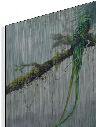 Resplendent Quetzal Metal Wall Art 12x16