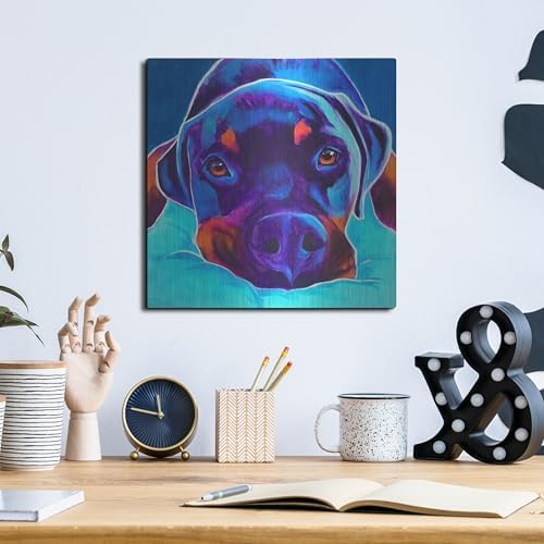 Rottie - Dexter 2 Metal Wall Art 12x12