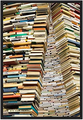 Amanti Art Framed Canvas Art 23x16 Book Sculpture at Prague City Library 2