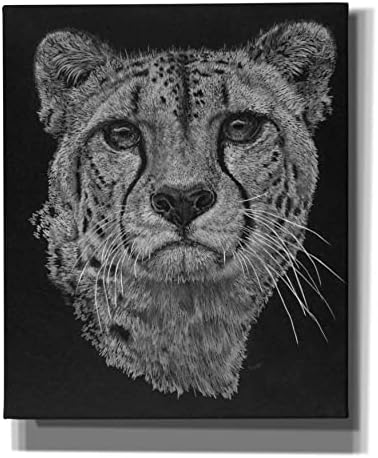 Epic Graffiti Imperial Canvas Wall Art 20x24