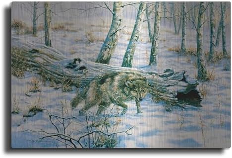 Snow Wolf Metal Wall Art by Bill Makinson 16x12