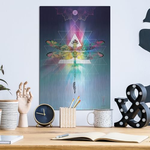 Cosmic Dragonfly Metal Wall Art 12x16