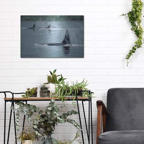 Orcas Metal Wall Art by Ron Parker 16x12