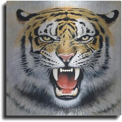 Tiger Metal Wall Art by Harro Maass 24x24