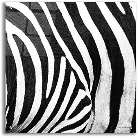 Epic Art Zebra IV by Debra Van Swearingen Acrylic Wall Art 24x24
