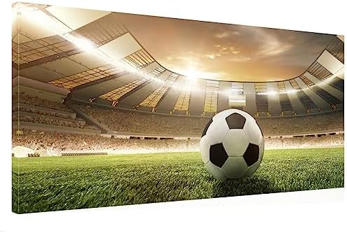 Amoy Art Canvas Print Soccer Stadium Wall Art 20x40 Inch