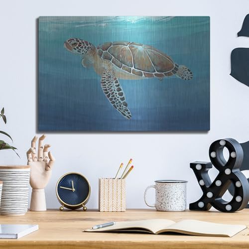 Ocean Sea Turtle II Metal Wall Art 16x12