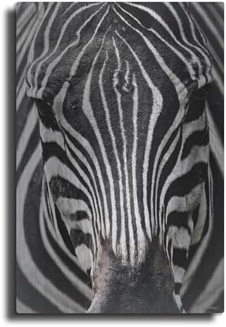 Zebra Stare Metal Wall Art 16x24
